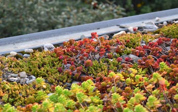 the cost of Inverlochy green roof installation