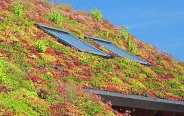 Inverlochy living roof systems