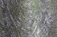 Inverlochy fibreglass roof work